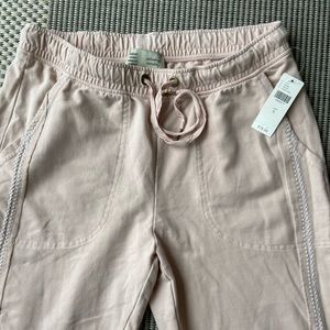 BNWT Anthro Dylan Joggers!